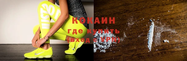 прущие грибы Горнозаводск