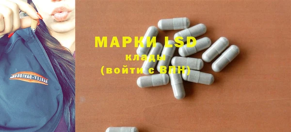 прущие грибы Горнозаводск