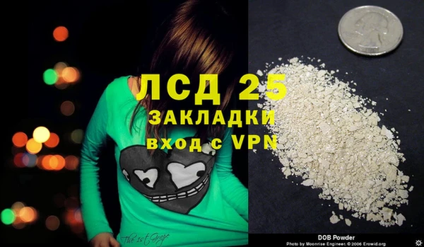 прущие грибы Горнозаводск