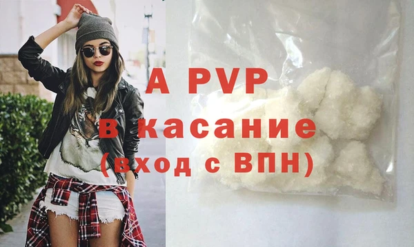прущие грибы Горнозаводск
